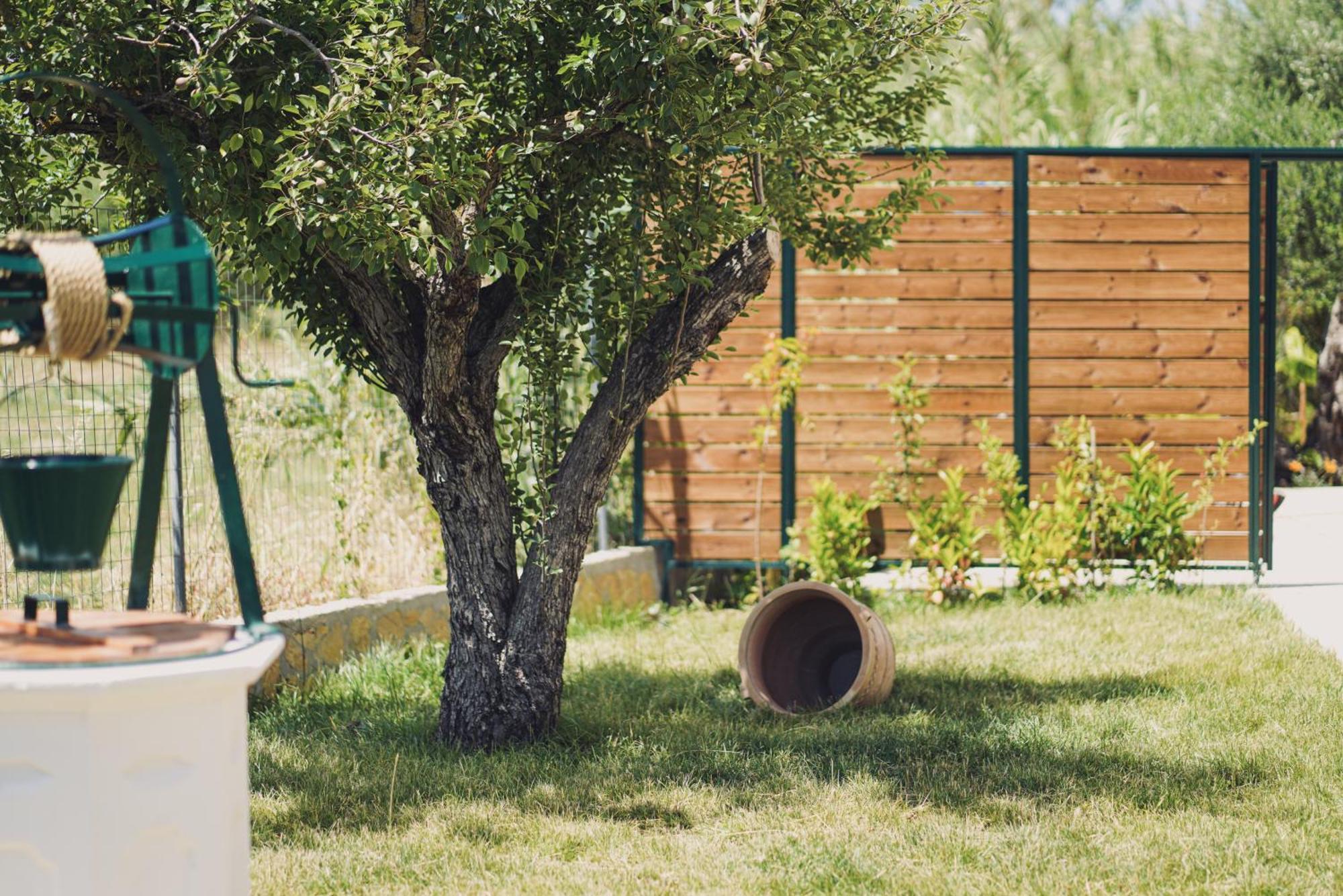 Mirsini Studios & Apartments Лаганас