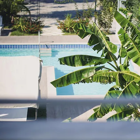 Mirsini Studios & Apartments Laganas Exterior photo